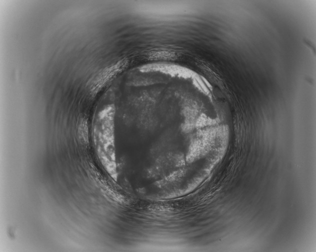 X0000102480729200809051355