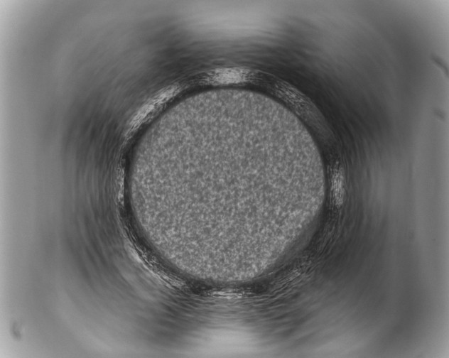 X0000102480732200809051355