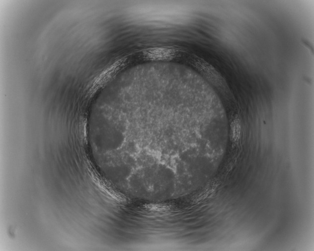 X0000102480733200809051355