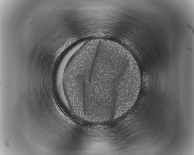 X0000102480734200809051355