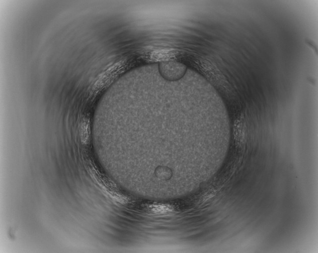 X0000102480741200809051355