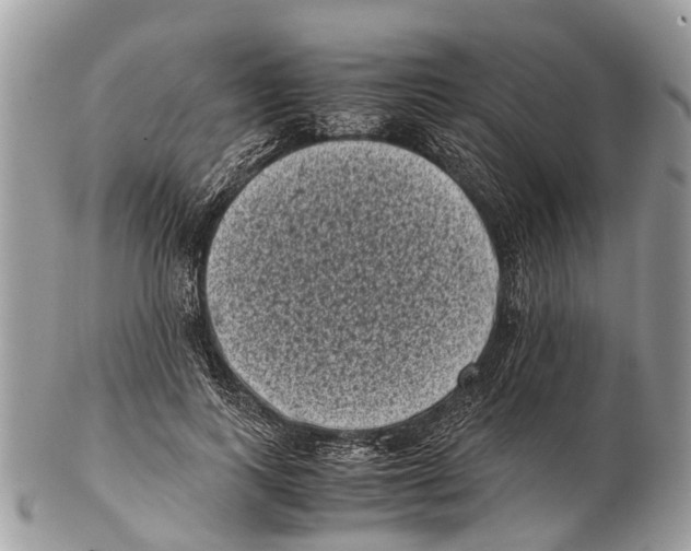 X0000102480743200809051355