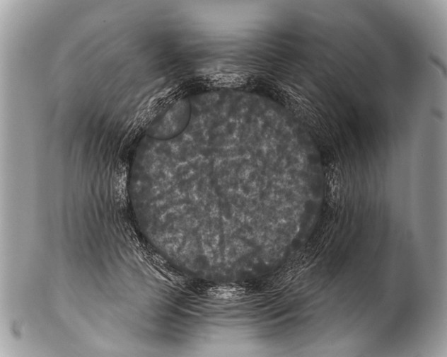 X0000102480745200809051355