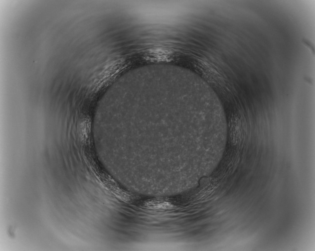 X0000102480747200809051356