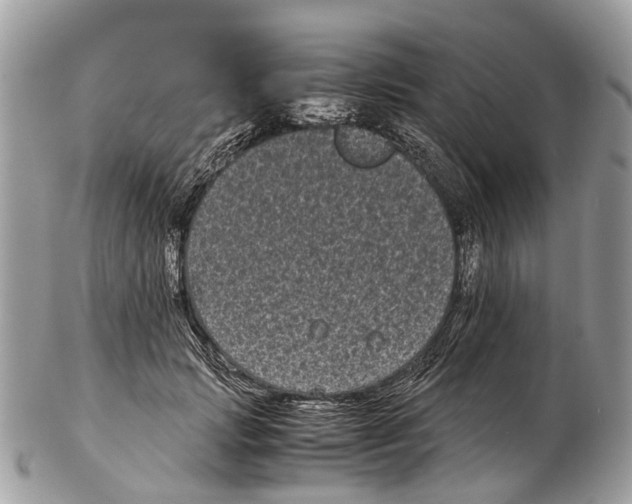 X0000102480749200809051356