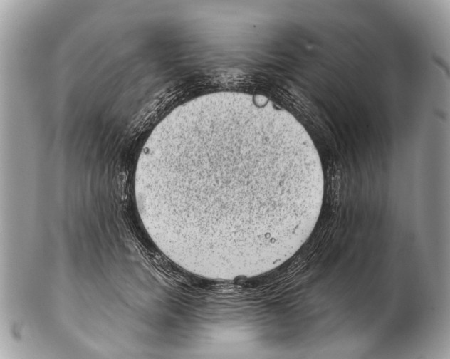 X0000102480750200809051356