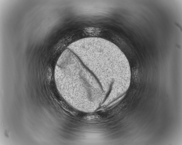 X0000102480752200809051356