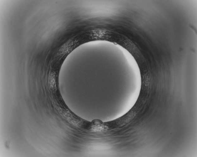 X0000102480754200809051356