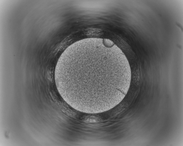 X0000102480755200809051356