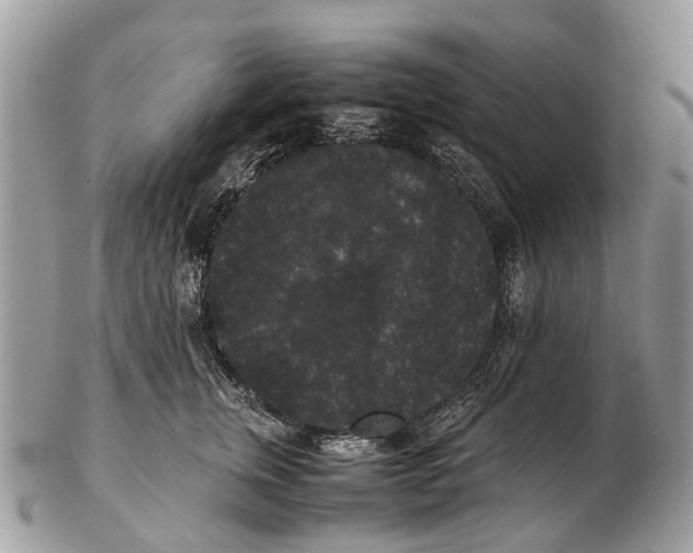 X0000102480759200809051356