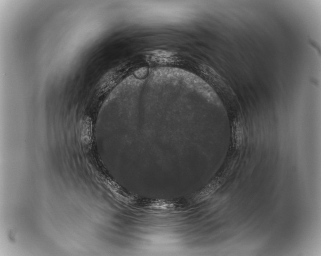 X0000102480760200809051356