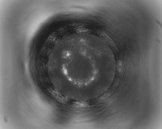 X0000102480763200809051356