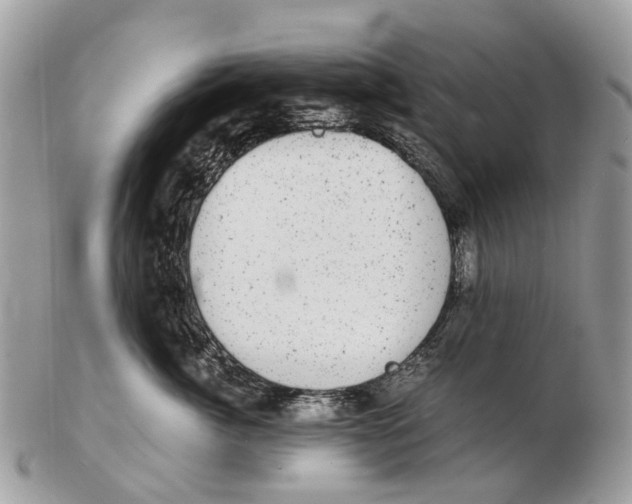 X0000102480764200809051356