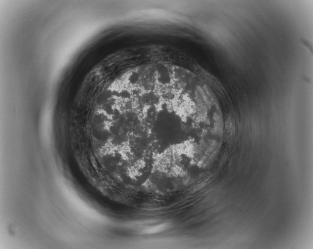 X0000102480765200809051356