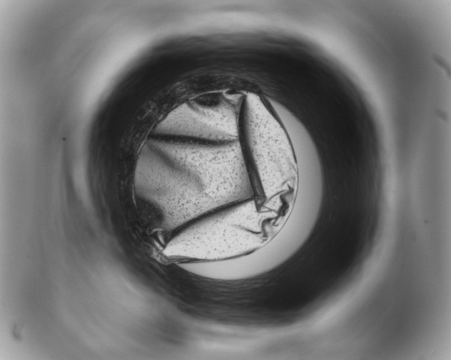 X0000102480766200809051356