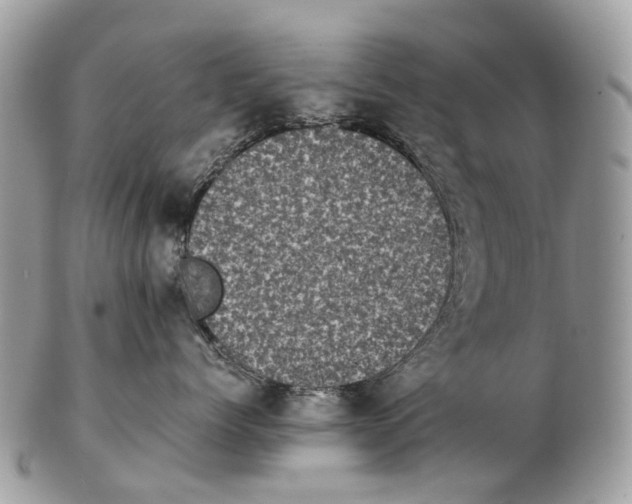 X0000102480768200809051356