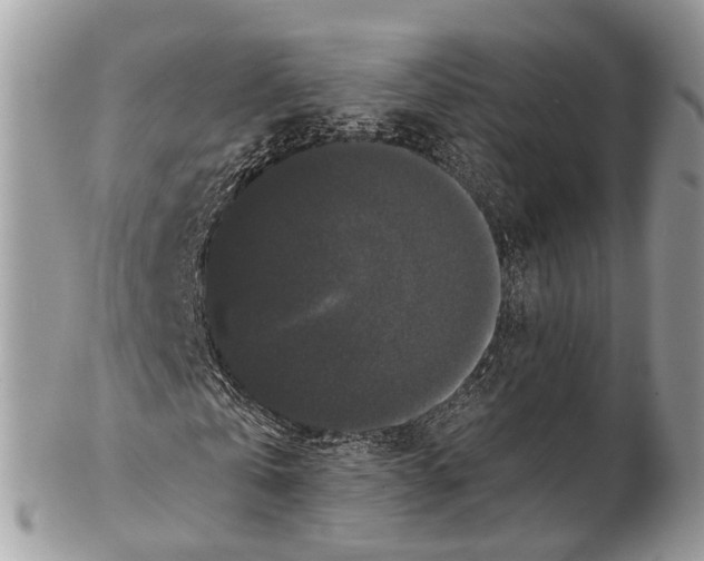 X0000102480769200809051355