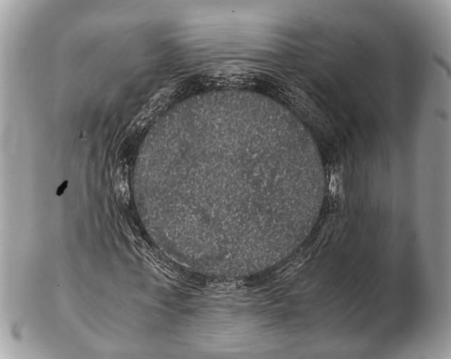 X0000102480771200809051355