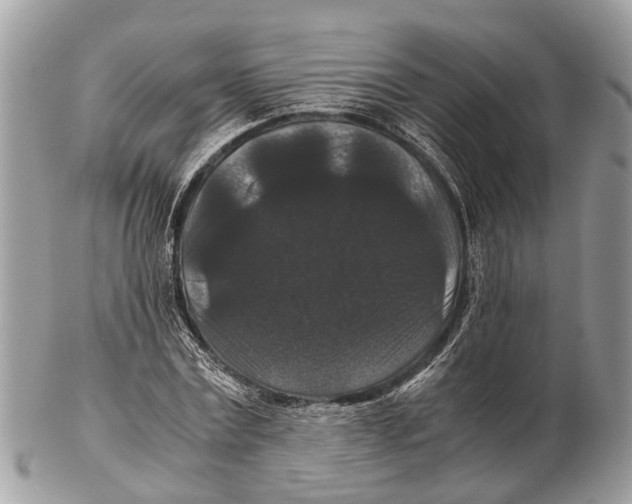 X0000102480779200809051355