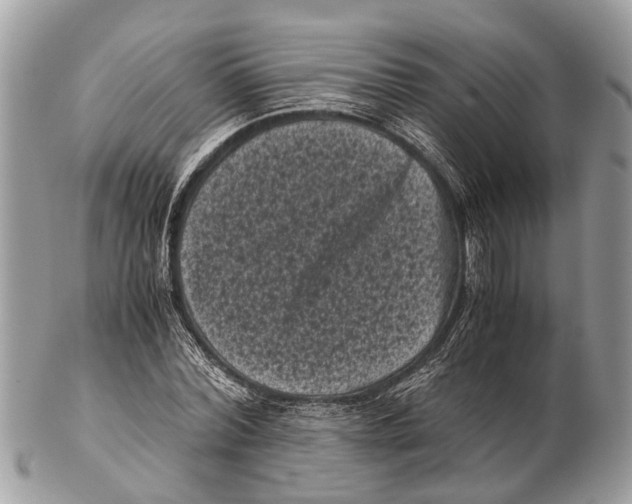 X0000102480780200809051355