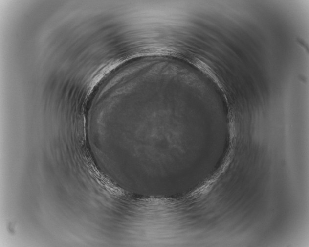 X0000102480781200809051355