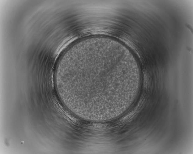 X0000102480782200809051355