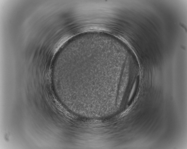 X0000102480783200809051355