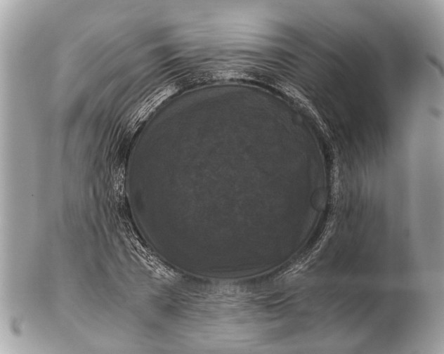 X0000102480785200809051355