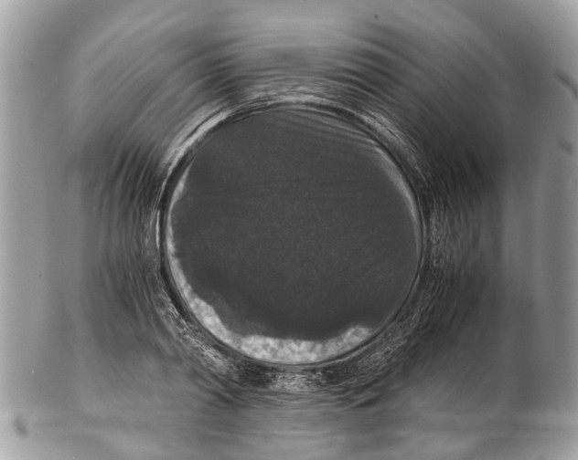 X0000102480790200809051355