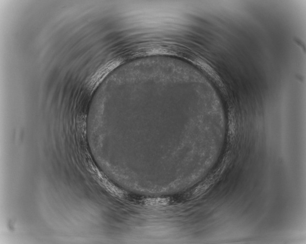 X0000102480793200809051355