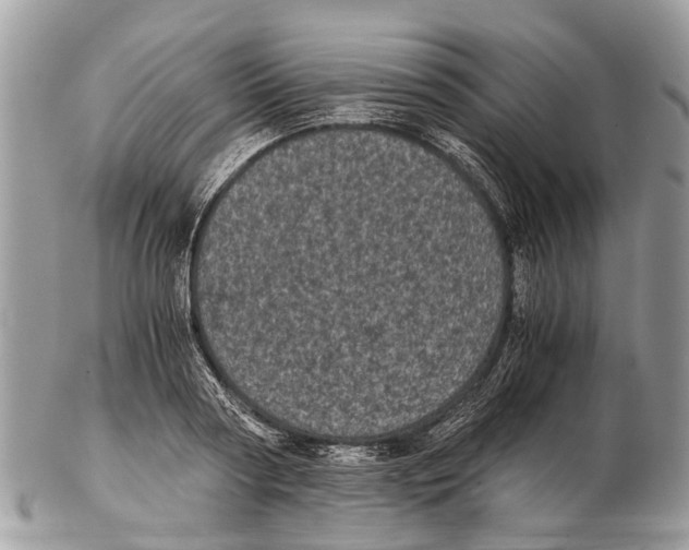 X0000102480794200809051355