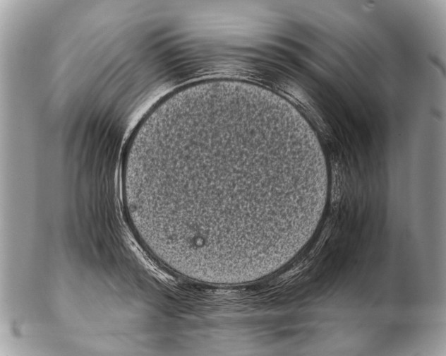 X0000102480796200809051355