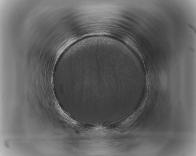 X0000102480797200809051355