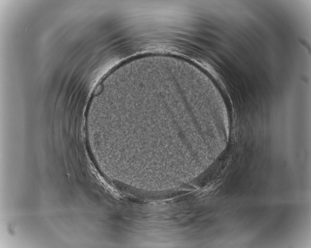 X0000102480799200809051355