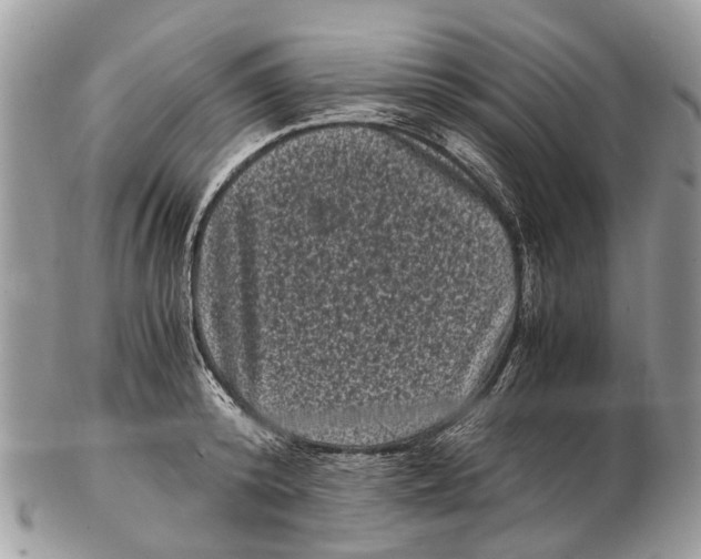 X0000102480800200809051355