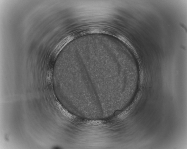 X0000102480801200809051355