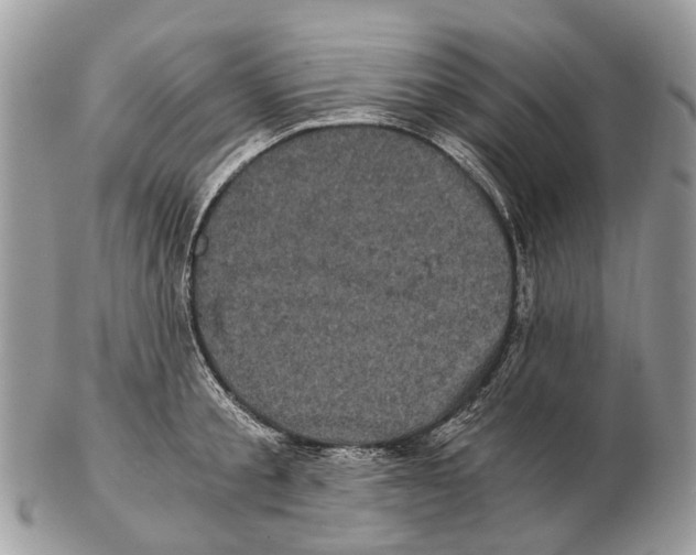 X0000102480805200809051354