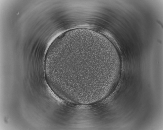 X0000102480808200809051354