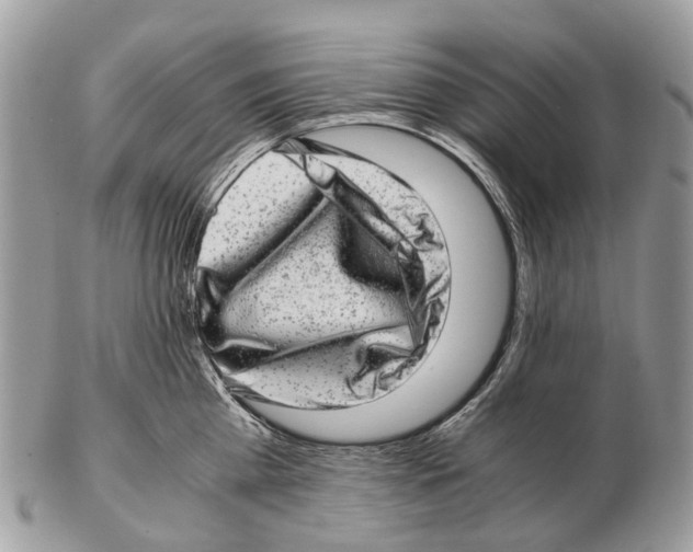 X0000102480809200809051354