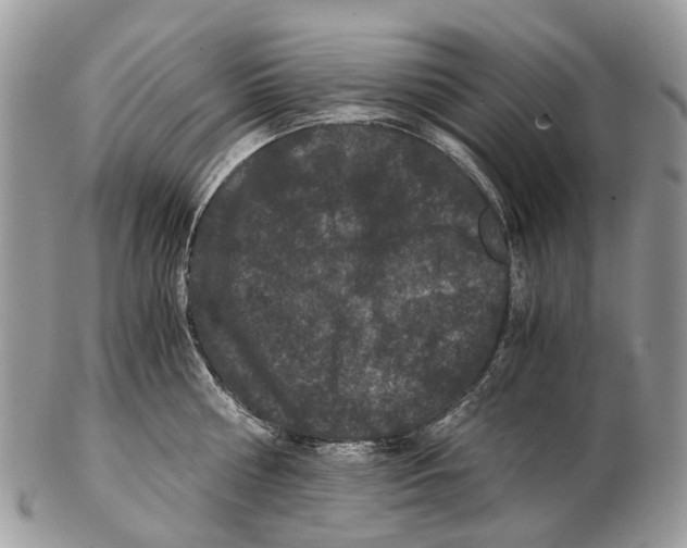 X0000102480810200809051354