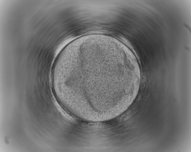 X0000102480811200809051354