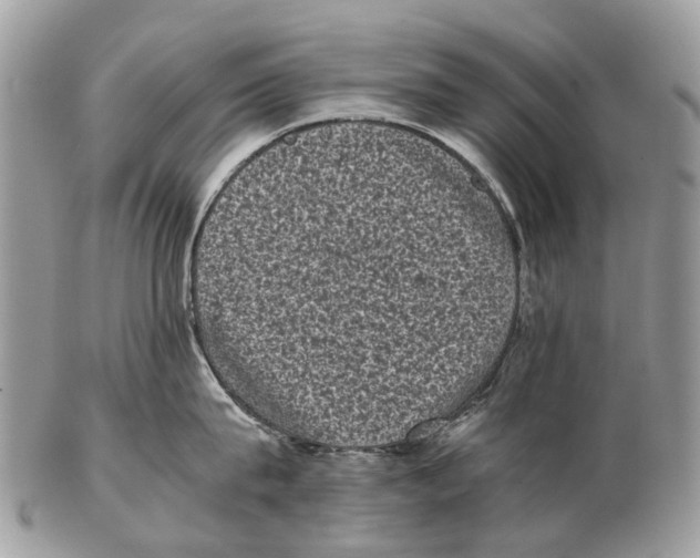 X0000102480815200809051354