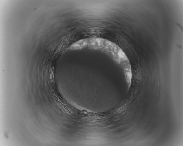 X0000102480818200809051354