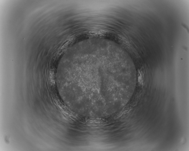 X0000102480819200809051354