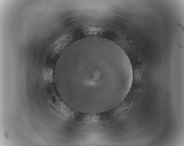 X0000102480820200809051354