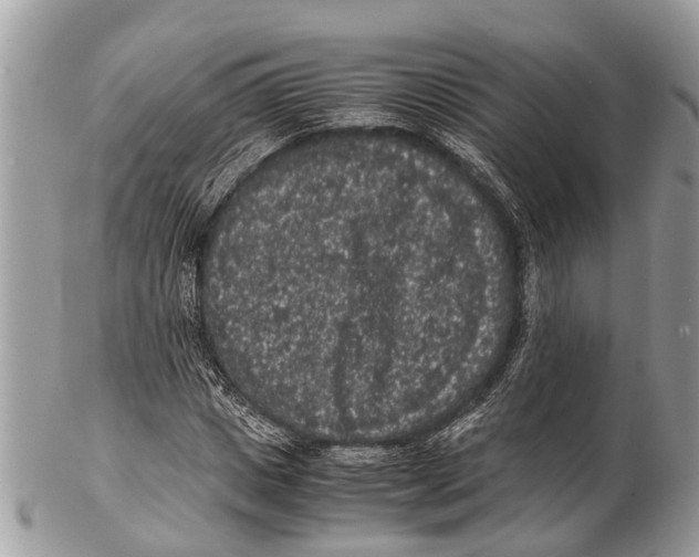 X0000102480825200809051354