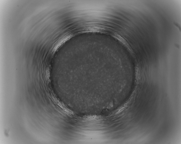 X0000102480826200809051354