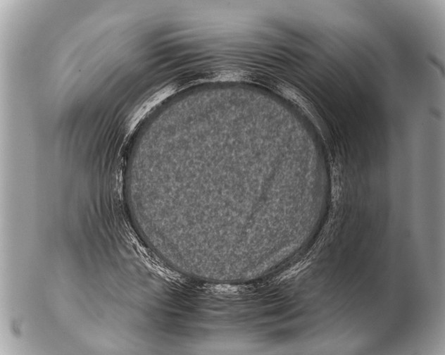 X0000102480827200809051354