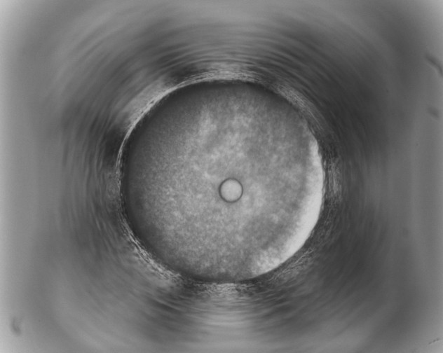 X0000102480828200809051354