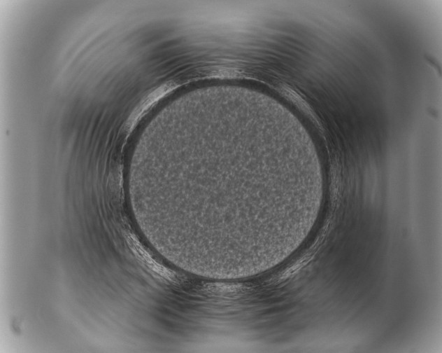 X0000102480831200809051354